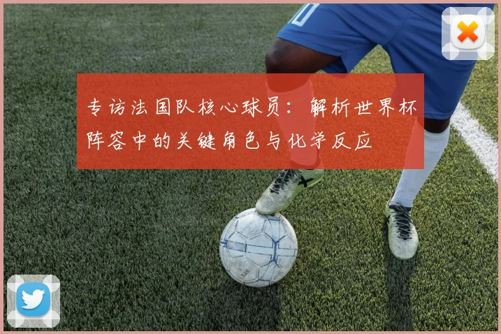 专访法国队核心球员:解析世界杯阵容中的关键角色与化学反应