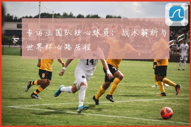 专访法国队核心球员:战术解析与世界杯心路历程