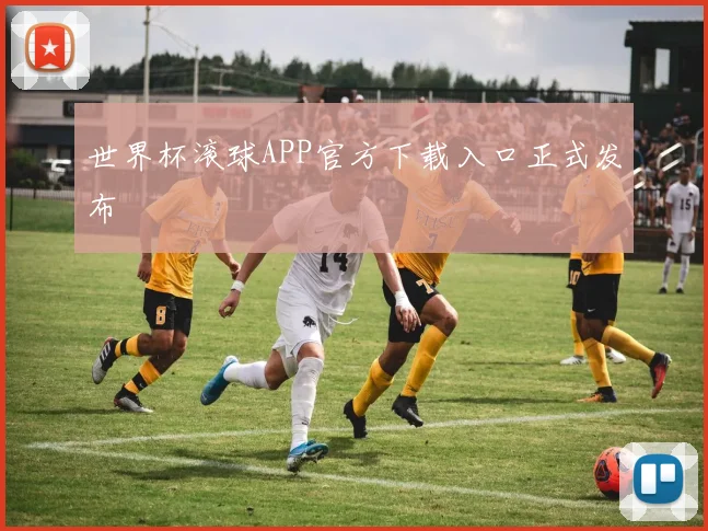 世界杯滚球APP官方下载入口正式发布