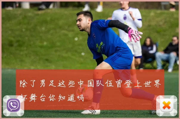 除了男足这些中国队伍曾登上世界杯舞台你知道吗