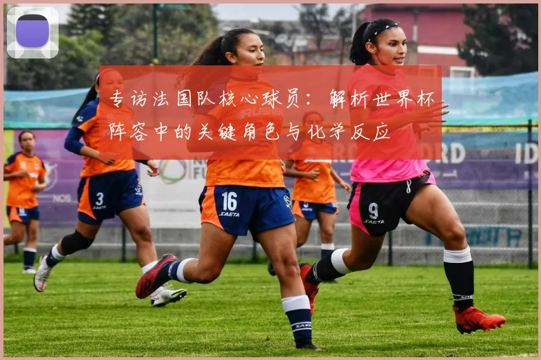 专访法国队核心球员:解析世界杯阵容中的关键角色与化学反应